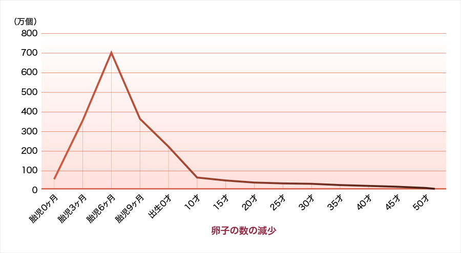年齢と卵子の体内貯蔵個数推移