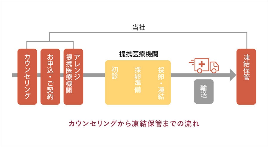 年齢と卵子の体内貯蔵個数推移