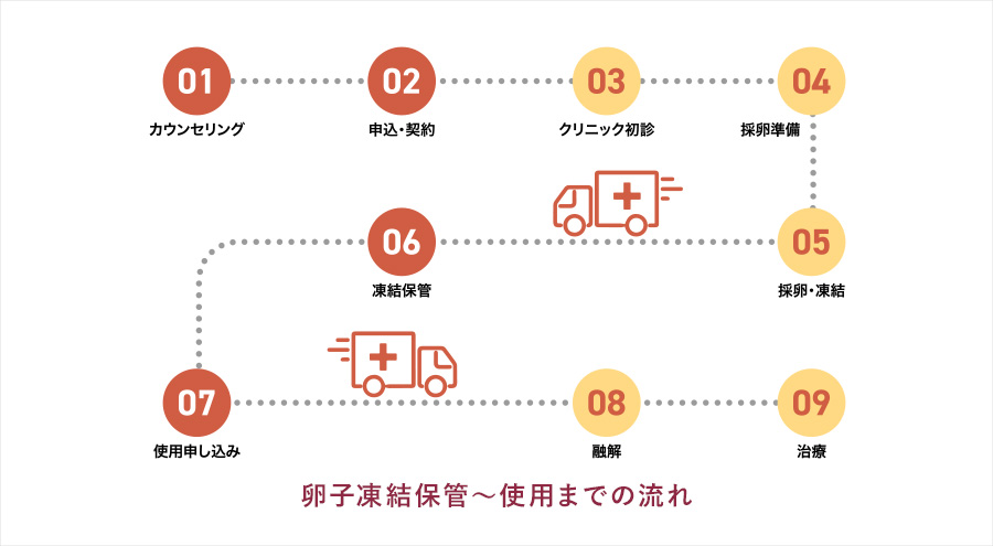 卵子凍結保管～使用までの流れ